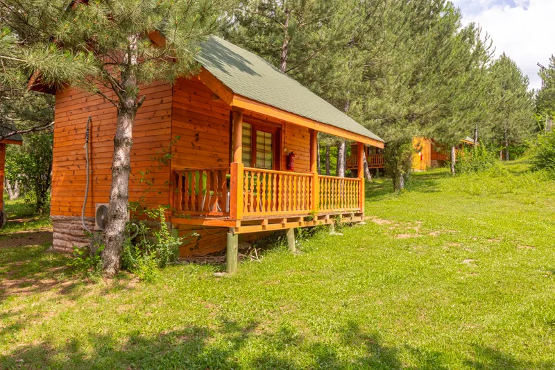 Orman yolu ve doğa rotası