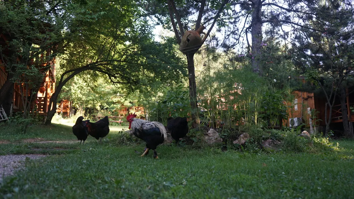 Bolu Mengen doğa içinde konaklama